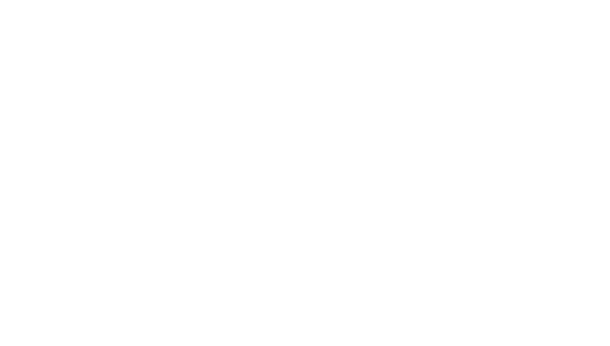 Responsible Investment Association
